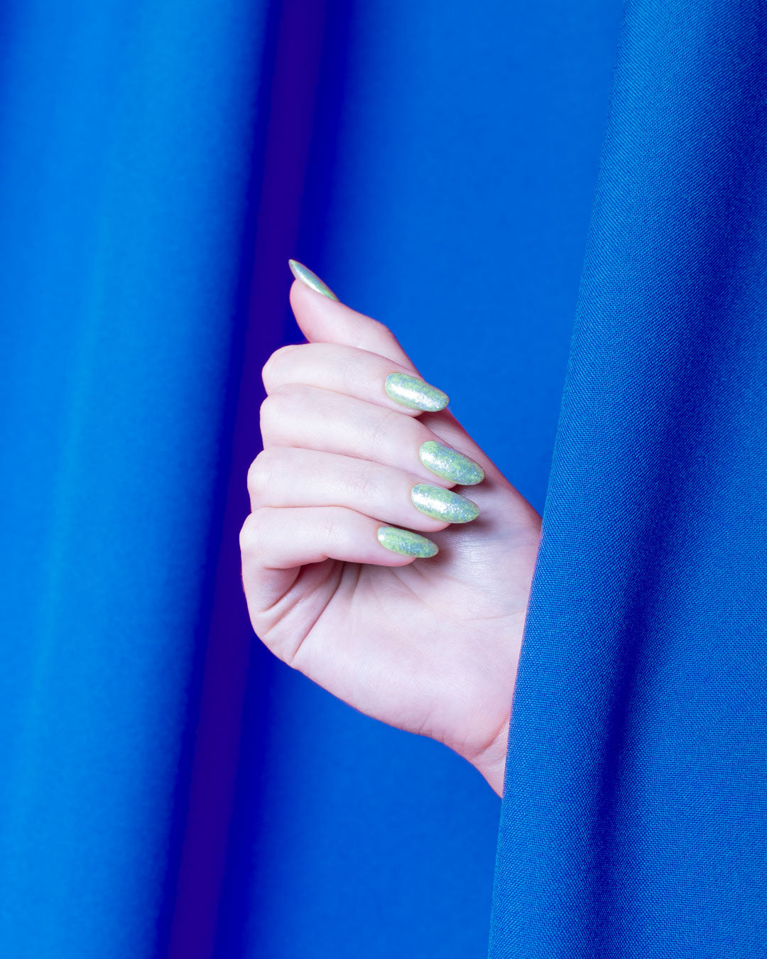 Colección SEA SHELL